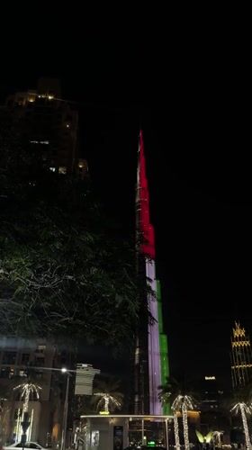 Mixed Dubai memories: Burj Khalifa display, self-filming, foliage, indoor incident