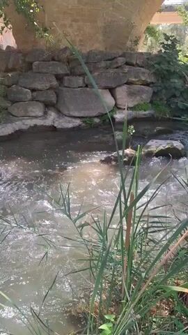 The video shows a close-up, ground-level view of a shallow, clear stream flowing over rocks and pebbles. The water is disturbed, creating ripples and small splashes. Tall, green reeds and other aquatic plants grow along the banks and in the water, some with seed heads. In the background, a stone wall or embankment is visible, constructed from large, irregular rocks. Sunlight filters through the leaves of unseen trees, casting dappled light on the water. The overall impression is of a natural, tranquil outdoor setting.