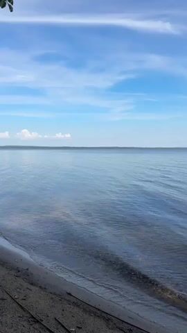 The video shows a body of water under a blue sky with wispy clouds. The shoreline in the foreground is sandy with some debris, and gentle waves lap at the shore. The water is calm and reflects the sky. In the distance, a faint line of land is visible on the horizon.