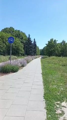 The video shows a paved pathway in a park or wooded area on a clear, sunny day. A blue circular sign with a white bicycle symbol is visible on the left side of the path, indicating a bicycle route. Lush green trees and bushes line the pathway, with a bed of purple flowers to the left. In the distance, a person on a bicycle is riding down the path. The ground is covered in grass and patches of dirt. The sky is a clear blue.