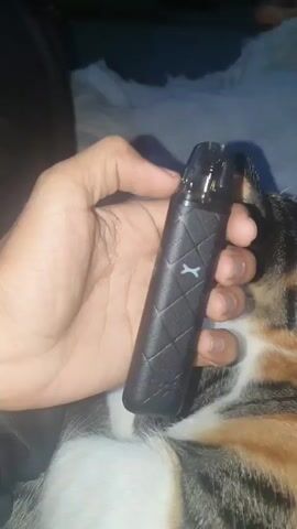 A person's hand holds a black vape pen with a diamond pattern and a white symbol on it. The hand is in focus, while the background is blurred and shows what appears to be a cat's fur. The vape pen is rotated slightly in the hand.