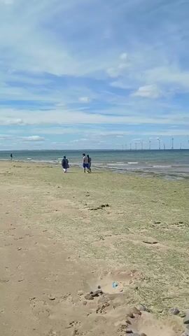 The media file depicts a serene beach scene at Redcar, United Kingdom. The camera pans across a sandy shoreline with patches of green seaweed. In the distance, a line of wind turbines stretches across the horizon, standing tall against a backdrop of a blue sky dotted with white clouds. The sea is calm, with gentle waves lapping the shore.

Three individuals are visible walking along the water's edge, their figures small against the vastness of the landscape. Their posture and the setting suggest a leisurely stroll, possibly enjoying the cool sea breeze and the scenic views. The time of day appears to be daytime, likely late morning or afternoon, given the bright sky and clear visibility. The weather seems pleasant, with a mix of sun and clouds, typical of a temperate climate.

The overall mood conveyed is one of tranquility and natural beauty, enhanced by the presence of renewable energy infrastructure. The wind turbines, while man-made, blend harmoniously with the coastal environment, signifying a commitment to sustainable energy. The location is clearly identifiable as Redcar, UK, due to the prominent offshore wind farm, a well-known landmark in the area. There is no visible text within the media file.