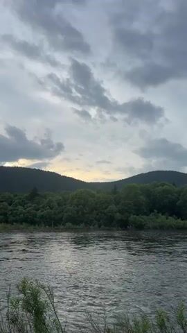 A vertical video captures a natural landscape at dusk. In the foreground, a body of water with ripples reflects the muted, cloudy sky. Along the middle ground, a dense line of dark green trees forms a forest that stretches horizontally across the frame. Behind the forest, rolling hills covered in darker green foliage rise up to meet the sky. The sky is filled with a mix of dark, heavy clouds and lighter, wispy ones, with a soft, yellowish glow peeking through the clouds near the horizon. The overall mood is serene and tranquil, with a hint of the approaching night. No people or man-made objects are visible.