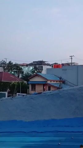 A vertical, stabilized video captures an outdoor scene during the daytime with overcast skies. In the foreground, a textured surface painted blue and gray occupies the bottom third of the frame, possibly a rooftop or a wall. Beyond this, a residential area is visible with several houses featuring tiled roofs in shades of red and blue. Some houses have palm trees and other greenery surrounding them. One house in the mid-ground has an orange water tank on its roof. The sky is a pale, uniform gray. There are power lines and poles visible in the background. The overall impression is of a quiet, suburban or semi-urban environment.