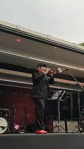 A man plays a trumpet on an outdoor stage. He is wearing a black suit, hat, glasses, and bright orange shoes. Behind him is a banner with official government logos and the words "Presidencia de la Nacion" and "Secretaria de Cultura." There is a drum set and other musical equipment visible on the stage. The sky above is overcast.