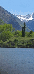 Peaceful lake and grazing cattle documented in Sahún, Spain