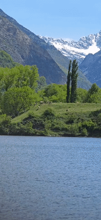 Peaceful lake and grazing cattle documented in Sahún, Spain