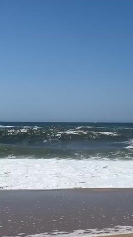 The video captures a picturesque beach scene at Torreira, Portugal, under a clear, bright blue sky, suggesting it's a sunny day, likely late morning or early afternoon. The primary subject is the powerful ocean with its incoming waves.

The ocean itself is a dynamic entity in this footage. Dark blue water transitions to frothy white as waves crest and crash onto the shore. The waves appear to be of moderate size, with one particularly large wave breaking in the center of the frame, creating a dramatic white foam line. The water closest to the shore is a lighter, murky green, and the sand in the foreground is wet and reflective, dotted with receding foam bubbles from previous waves.

There are no people or man-made objects visible in the frame, emphasizing the natural beauty and raw power of the seascape. The focus is entirely on the interaction between the ocean and the beach.

The overall emotion conveyed is one of serenity and the awe-inspiring force of nature. The vast expanse of the sky and the continuous motion of the waves create a sense of timelessness. The location cues from the prompt place this scene in Torreira, Portugal, known for its beaches and the Atlantic Ocean.

There is no visible text in the media file.