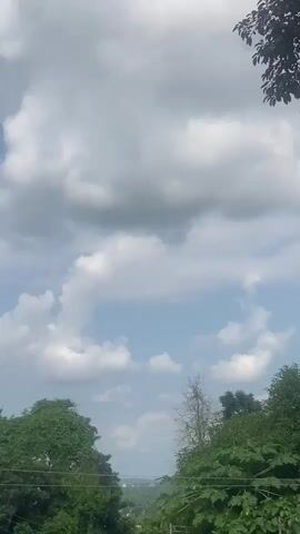 The video is a vertical, panning shot of a cloudy sky with some greenery at the bottom. The sky is filled with large, fluffy white and gray clouds, with patches of blue sky visible in between. The clouds appear to be moving slowly. At the bottom of the frame, there is a line of green trees and foliage. The lighting suggests it is daytime. The video is entirely focused on the sky and the tops of the trees. There are no people or distinct objects visible in the frame. The overall impression is one of a natural outdoor scene on a partly cloudy day.