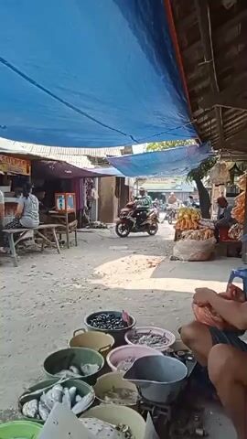 The video shows an outdoor market scene with stalls set up under tarpaulin coverings. In the foreground, various containers hold fish and other seafood. A person is seen squatting and sorting through fish in a pan. In the mid-ground, a motorbike is ridden down a dirt path. Several people are visible at stalls in the background, engaged in activities such as selling goods and sitting. The environment appears to be a bustling marketplace with a rustic setup.