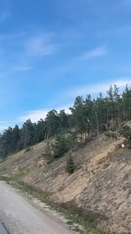 The video is filmed from a vehicle moving along a paved road. The road has a white line marking the edge. To the right of the road is a sandy embankment covered with sparse grass and scattered pine trees. Some trees appear to be dead or damaged. The sky is blue with scattered white clouds. The camera pans slightly to show the landscape. The second part of the video shows the road ahead, with more streetlights visible in the distance. The embankment with trees continues on the right side.