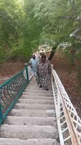 Two people, a woman and a man, are walking up a set of concrete stairs. The woman is in the foreground, wearing a loose-fitting, patterned dress and black shoes. She holds onto the railing on her right. The man is slightly behind her, wearing a light blue top and a white cap. He is holding a water bottle in his right hand and also holding onto the railing. The stairs have metal railings on both sides; the left railing is green and the right railing is white. The stairs are surrounded by trees and foliage. The ground is covered in fallen leaves.
