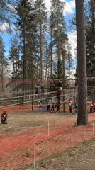 Adventure seekers tackle forest ropes course in Lesnoye, Russia
