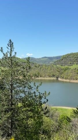 The video shows a still, high-angle landscape view of a lake surrounded by wooded hills under a clear blue sky. A pine tree stands in the foreground to the left, partially obscuring the view. The lake is calm, reflecting the sky, and has a small, sandy shoreline. The hills in the background are covered with green vegetation and some open grassy areas. No people or animals are visible.