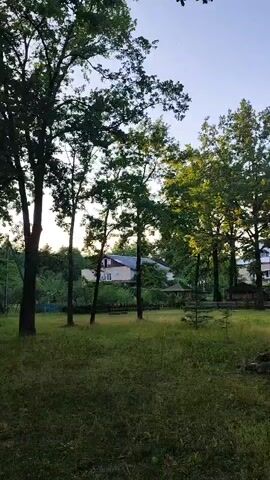 The video pans across a park-like setting with tall trees and grassy areas. In the background, a multi-story building with light-colored walls and a pitched roof is visible, partially obscured by the trees. There are glimpses of other structures, possibly houses or smaller buildings, as well as some fencing and a gazebo. The sun appears to be setting, casting a warm light through the leaves of the trees, creating dappled shadows on the ground. A paved pathway curves through the scene, suggesting a recreational area. No people are visible in the video.