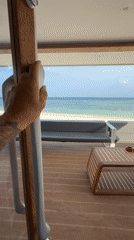 Quiet morning moments captured at Maldives beachfront location