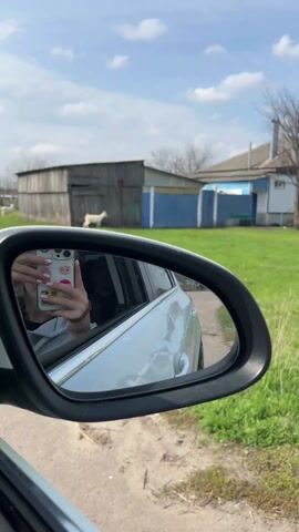 The video shows a goat standing in a yard. The video is taken from the side view mirror of a car. The goat is white and is standing in the grass in front of a house. There is a fence behind the goat. The sky is blue and there are some clouds. A person is seen in the mirror holding a cell phone, seemingly recording.