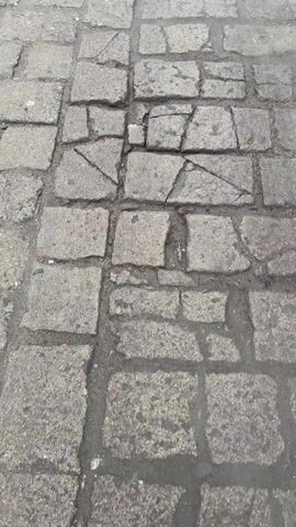 The video shows a small black and brown dog running on a brick-paved road. The dog is moving away from the camera, heading down the path. The road is made of gray bricks, some of which are cracked and uneven. Along the side of the road, there is a building with a white wall. There is also some greenery growing along the edge of the road. The overall environment appears to be an outdoor, possibly urban setting.