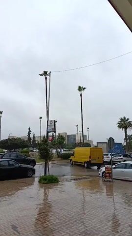 The camera pans across a wet city street on a cloudy day.  Several palm trees are present. There are cars parked along the street, and there is traffic moving along the roadway. The street is covered in puddles of water. There is a building in the background and some pedestrians in a park or plaza.