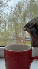 Morning domestic routine: coffee, art, family moments documented anonymously