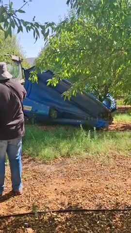 A person wearing a dark jacket and blue jeans stands to the left of the frame, facing away from the camera. To their right, a large, overturned blue harvesting machine lies on its side in a grassy area. The machine appears to be made of plastic and metal, with some visible branding. It is partially obscured by the branches of a leafy green tree that overhangs the scene. The ground in the foreground is covered in reddish-brown dirt and small stones, with a dark irrigation hose running across it. The background consists of more greenery and a blue sky. The video is shaky, suggesting it was recorded by someone moving.