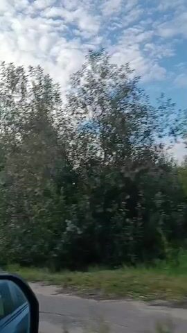 The video shows a view from inside a car, looking out the side window and in the side mirror. The scene outside the car is a rural or semi-rural landscape with trees, greenery, and some buildings in the distance. The sky is partly cloudy with a mix of blue sky and white clouds. The car appears to be moving along a road. The side mirror reflects the interior of the car, including what appears to be a person's face and the car's interior. The timestamp indicates the video is very short, likely a clip or snippet.