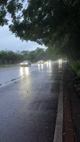 The video shows a wet asphalt road with several cars driving on it during a rainy day. The road is bordered by a gray curb and green vegetation, including trees that arch over the road. The cars have their headlights on, which reflect brightly on the wet surface. The background includes trees and a hazy, muted sky.