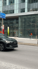 Ambulance responds in Montreal as dog spotted nearby