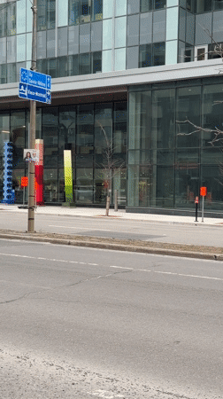 Ambulance responds in Montreal as dog spotted nearby