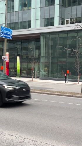 Ambulance responds in Montreal as dog spotted nearby