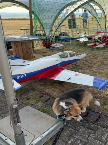 The video captures a scene at an airfield in Becherbach, Germany, likely during a model airplane event. In the foreground, a Corgi dog is lying on a leash, panting with its tongue out, suggesting a warm day. Behind the dog, a large, white model airplane with red and blue accents, bearing the number "4357" and "AERO L-39", is prominently displayed. The airplane is positioned on a paved surface and grass.

Further back, under a green netted canopy, several red and white model airplanes are parked. One of these planes has "G-EFFI" written on its side. Two men are visible in the background, appearing to be involved in the event, perhaps preparing or discussing the model aircraft. The setting is outdoors, with dry grass and some trees in the distance, indicating it might be summer or early autumn. The lighting suggests it is daytime, likely late afternoon given the warm tones in the sky. The overall atmosphere seems relaxed and focused on the hobby of model aviation.