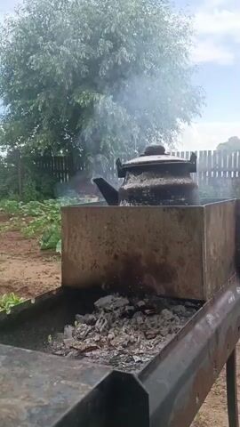 A black kettle sits atop a metal brazier with smoldering coals, emitting a plume of steam. The brazier is placed outdoors, with a wooden fence and lush green trees in the background. The ground appears to be dirt and grass, with some plants visible in the foreground. The sky is partly cloudy.