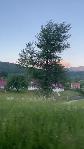 The video shows a landscape with houses and trees. The sky is clear with some pink clouds in the distance. The foreground is filled with green grass and some wildflowers. In the background, there are hills covered with trees. Several houses with red roofs are visible among the trees. The video seems to be shot from a moving vehicle, as indicated by the blurred foreground and the side mirror visible in the bottom left corner. The overall impression is of a rural, scenic setting, possibly during a sunset or sunrise.