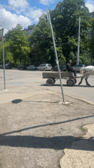 Horse cart, grocery shopping captured in Sofia morning