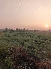 Sunrise illuminates agricultural fields in Kemang, Indonesia