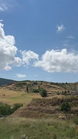 The video shows a scenic view of rolling hills under a bright blue sky with scattered white clouds. The landscape is characterized by dry, yellowish grass and sparse green vegetation, suggesting a warm, possibly Mediterranean climate. A winding dirt road can be seen cutting through the fields, leading towards a cluster of buildings nestled in the distance on a hillside. Stone walls, remnants of agricultural terracing or property boundaries, are visible on the slopes. Several trees are scattered across the terrain, some appearing to be deciduous, others evergreen. The overall impression is one of a rural, slightly arid environment bathed in sunlight.