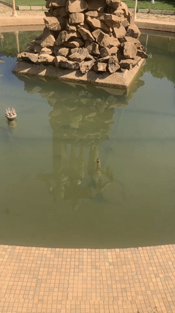 Bronze statue and landscaped park documented in Gwong, Nigeria
