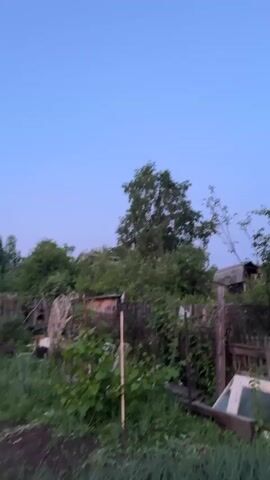 A static shot of a rural scene at dusk shows a clear, pale blue sky above a dense area of green foliage. In the midground, a weathered wooden fence runs horizontally across the frame, partially obscured by overgrown plants. Behind the fence, the roofs of several dilapidated structures are visible, suggesting abandoned buildings. A tall tree with sparse leaves stands prominently in the center of the frame, surrounded by other trees and shrubs. The foreground is filled with more green vegetation, including the leaves of plants and tall grass. A wooden post or stake is visible in the lower left quadrant of the image, planted in the ground. The overall impression is one of neglect and overgrowth in a countryside setting.