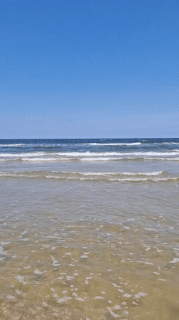 Clear skies and calm waves on the Świnoujście shoreline