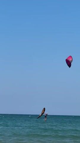 A person is kitesurfing on a clear, sunny day. The water is calm and blue, with a visible horizon line. The kitesurfer is in the middle of the frame, appearing to be in mid-air, possibly executing a jump. Two kites are visible: one is a vibrant pink, and the other is a brown and tan color. Both kites are in the air, above the water. The pink kite is in the upper right portion of the frame, while the brown and tan kite is closer to the kitesurfer. The sky is a clear, bright blue.