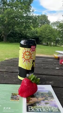 A tall, cylindrical can of Ossest Blonde Session Blonde ale stands upright on a rustic wooden picnic table outdoors. The can is yellow and black with a graphic of a sun face and a silhouette of a person. In front of the can, a large, ripe strawberry rests on top of a brochure. The brochure has an image of a garden scene. In the background, a grassy park area is visible with trees and a few people in the distance. The sky is partly cloudy.
