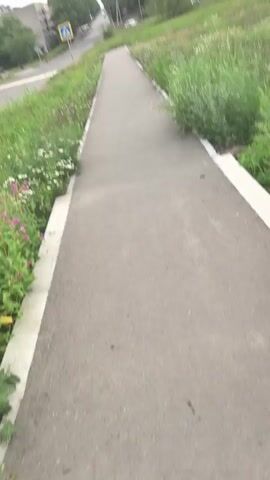 The video shows a first-person perspective of walking along a paved sidewalk that borders a grassy area. The sidewalk is bordered by a concrete curb. To the left of the sidewalk, a paved road runs parallel to it. On the other side of the road, there are buildings, trees, and some pedestrian crossing signs. The sky is overcast. The grassy area next to the sidewalk has various plants and some small white flowers. There are no people or animals visible on the sidewalk or immediately around it. The overall environment appears to be a suburban or semi-urban area.