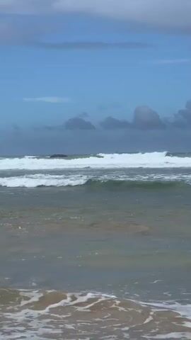 A video of the ocean shows gentle waves rolling onto a sandy shore under a partly cloudy blue sky. A small boat is visible in the distance on the horizon. The water is clear with some seaweed and sand visible beneath the surface. The overall impression is one of a peaceful and serene beach scene.
