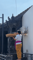 Early morning life documented across North Kuta, Bali