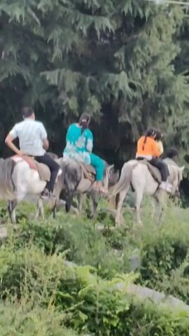 Three people are riding horses on a dirt path. The person on the left is a man wearing a white shirt and black pants. The person in the middle is a woman wearing a turquoise dress. The person on the right is a girl wearing an orange shirt and black pants, with another person behind her. The horses are white or gray. The environment is a wooded area with green trees and bushes. The ground is uneven and rocky. The weather appears to be overcast. The video is shot from a slightly elevated angle.