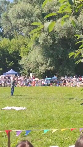 The video shows an outdoor event on a sunny day. In the foreground, there are colorful triangular flags strung across a grassy area, and a shallow, inflatable kiddie pool. Further back, a crowd of people are seated on chairs or standing, facing a central open space. Several tents and canopies are visible behind the seated audience, suggesting vendor stalls or shaded areas. A tall, thin pole stands near the center of the frame, and a man in a gray shirt and blue jeans is standing in the open space, facing the crowd. He appears to be addressing the audience or performing. The background is filled with lush green trees, indicating a park or wooded area. The overall atmosphere seems to be one of a community gathering or festival.