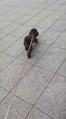 Morning street life documented across Plovdiv, Bulgaria