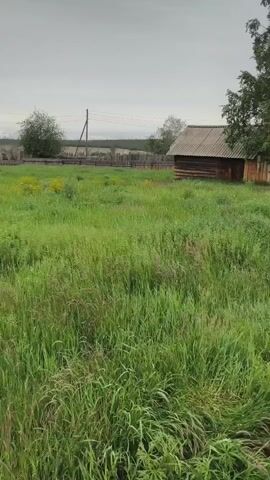 The video shows an outdoor scene of a rural area with a wooden building in the background. A wooden fence runs across the middle ground, behind which are some scattered structures and trees. The foreground is dominated by tall, green grass with some yellow wildflowers. The sky is overcast. The camera pans slowly to the right.
