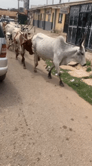 Morning street life documented in Jos, Nigeria over one hour
