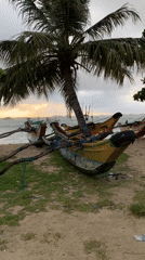 Traditional fishing boats captured at dawn in Weligama, Sri Lanka